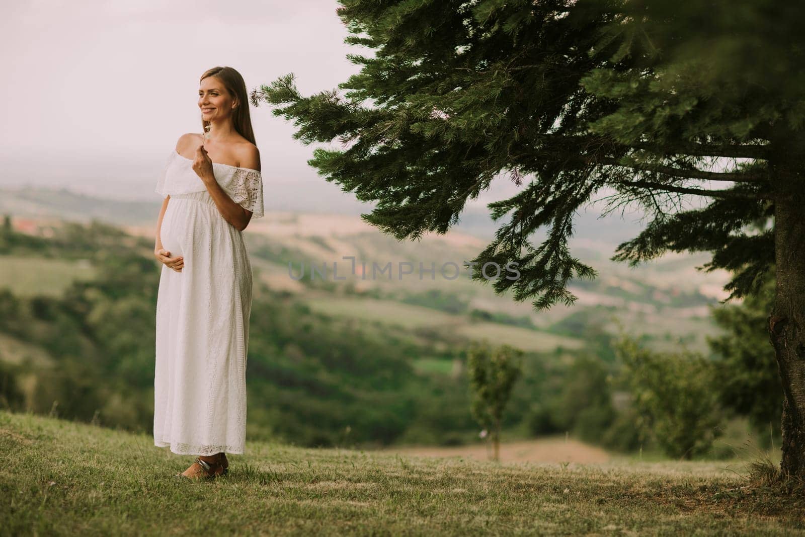 Young pregnant woman relaxing outside in nature at summer day