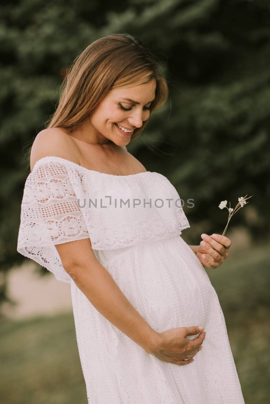 Young pregnant woman relaxing outside in nature at summer day
