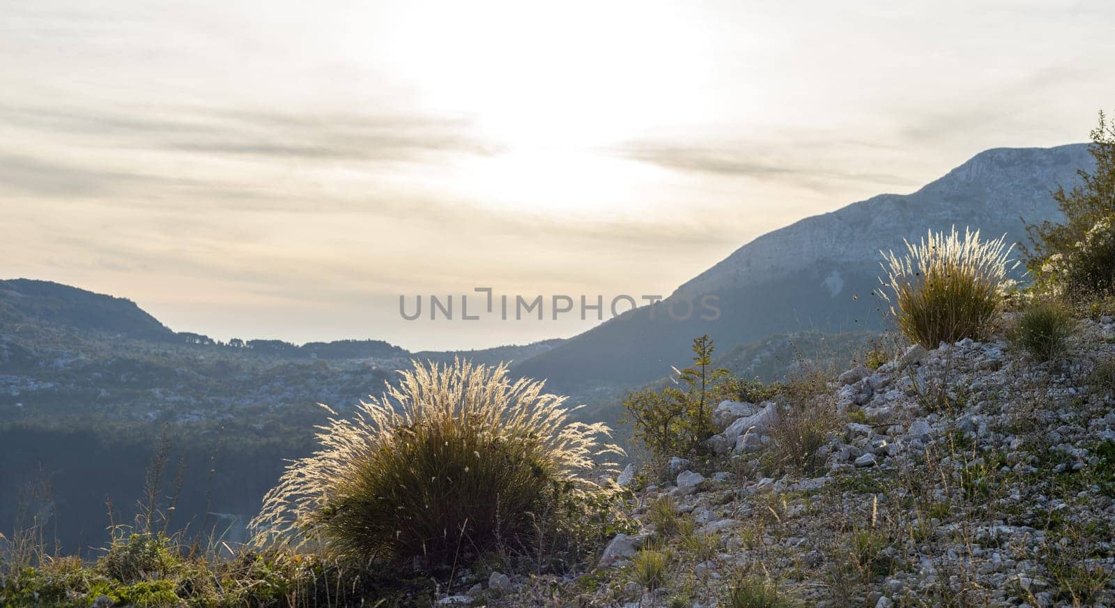 A warm sunset over rugged mountain terrain with golden light highlighting the dry grass and rocky outcrops, creating a peaceful and picturesque atmosphere.