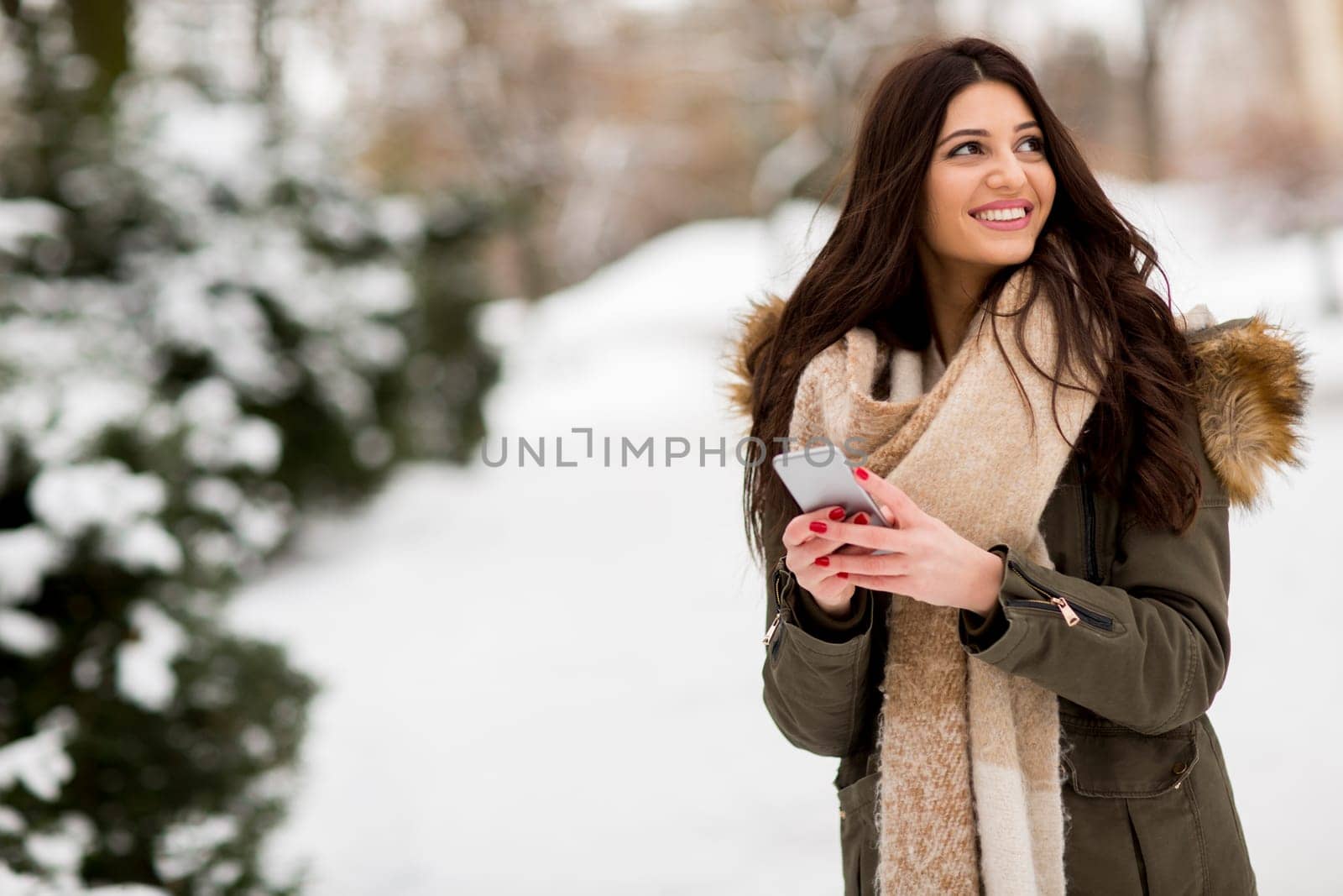 Young woman using a phone in the winter park