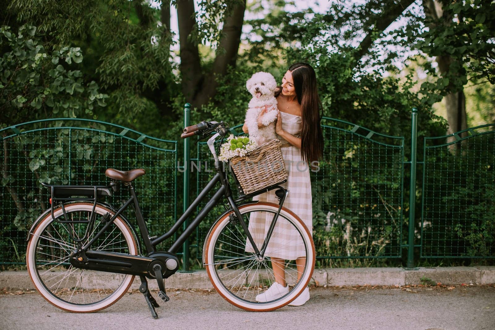 Pretty young woman putting white bichon frise dog in the basket of electric bike
