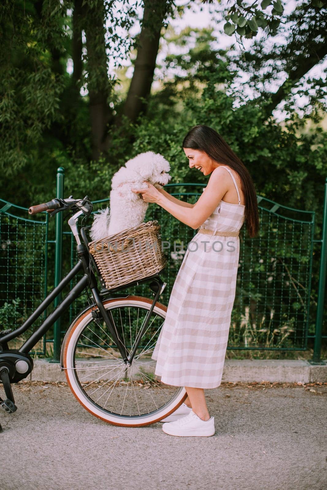 Pretty young woman putting white bichon frise dog in the basket of electric bike