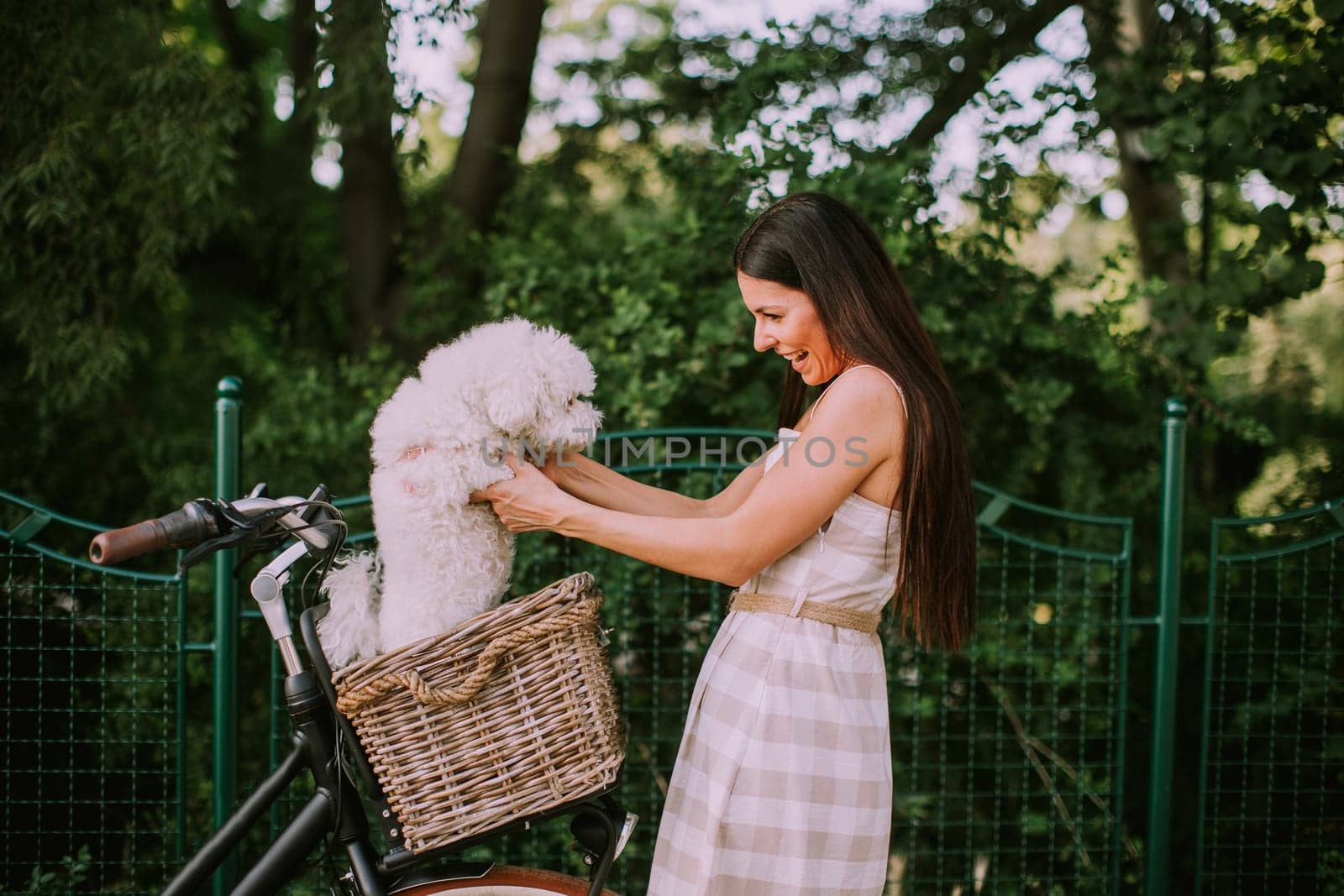 Pretty young woman putting white bichon frise dog in the basket of electric bike