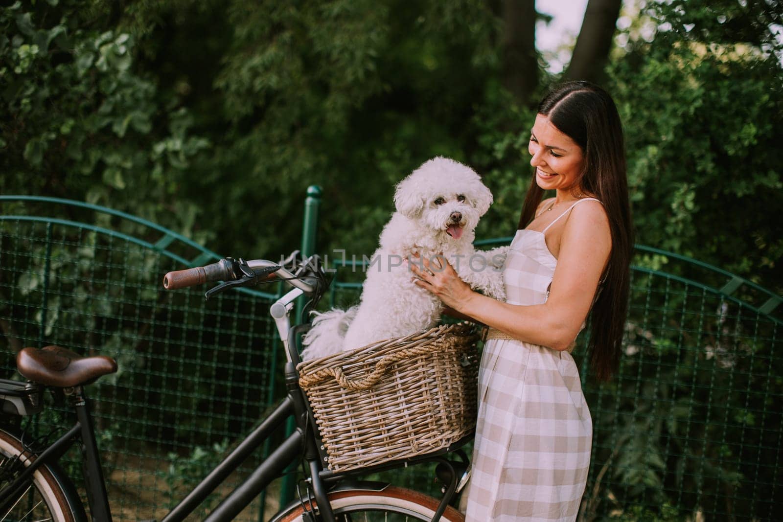 Pretty young woman putting white bichon frise dog in the basket of electric bike