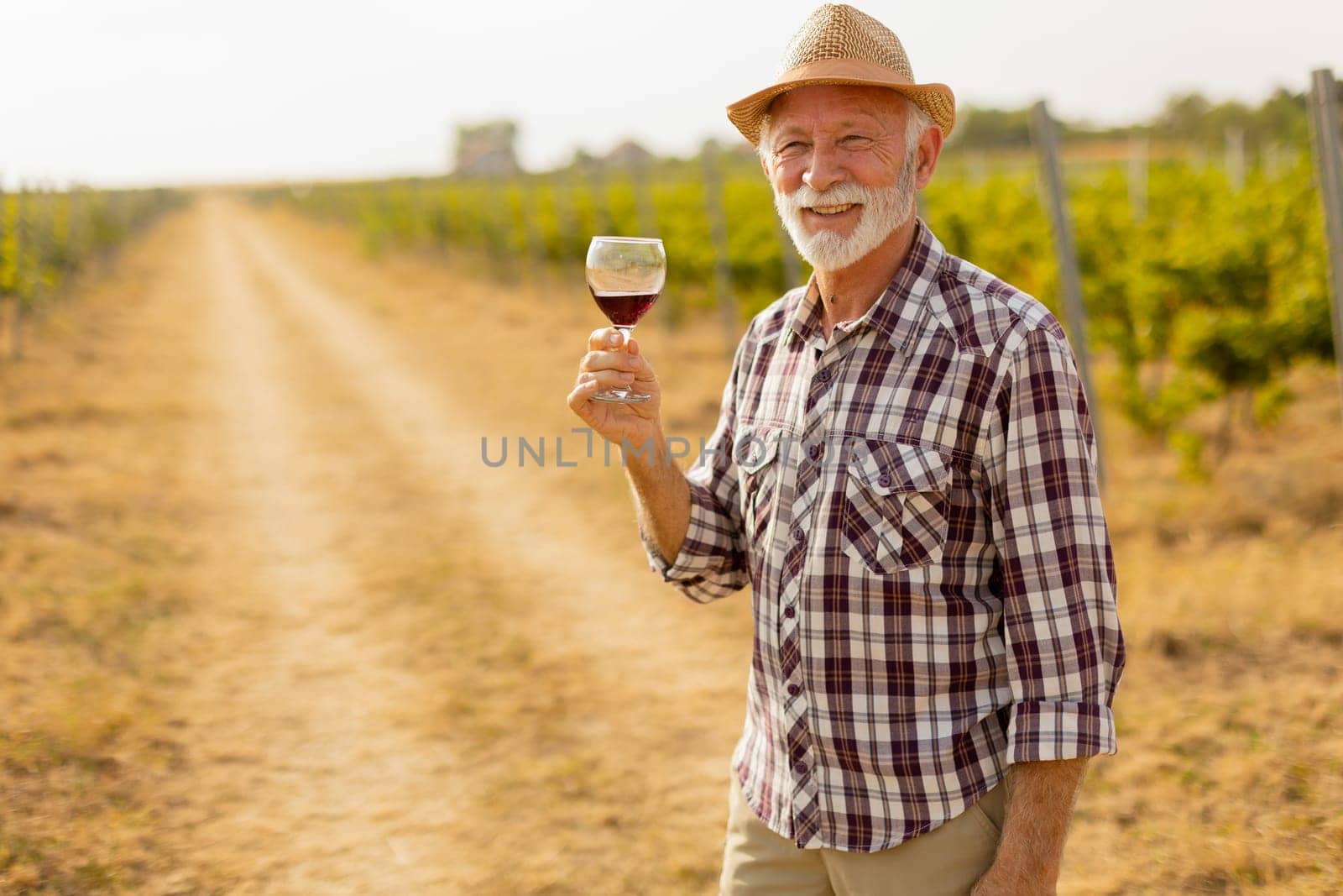 In the golden glow of sunset, an elderly man in a straw hat enjoys a glass of red wine, immersed in the tranquil beauty of his sprawling vineyard, reflecting on the harvest