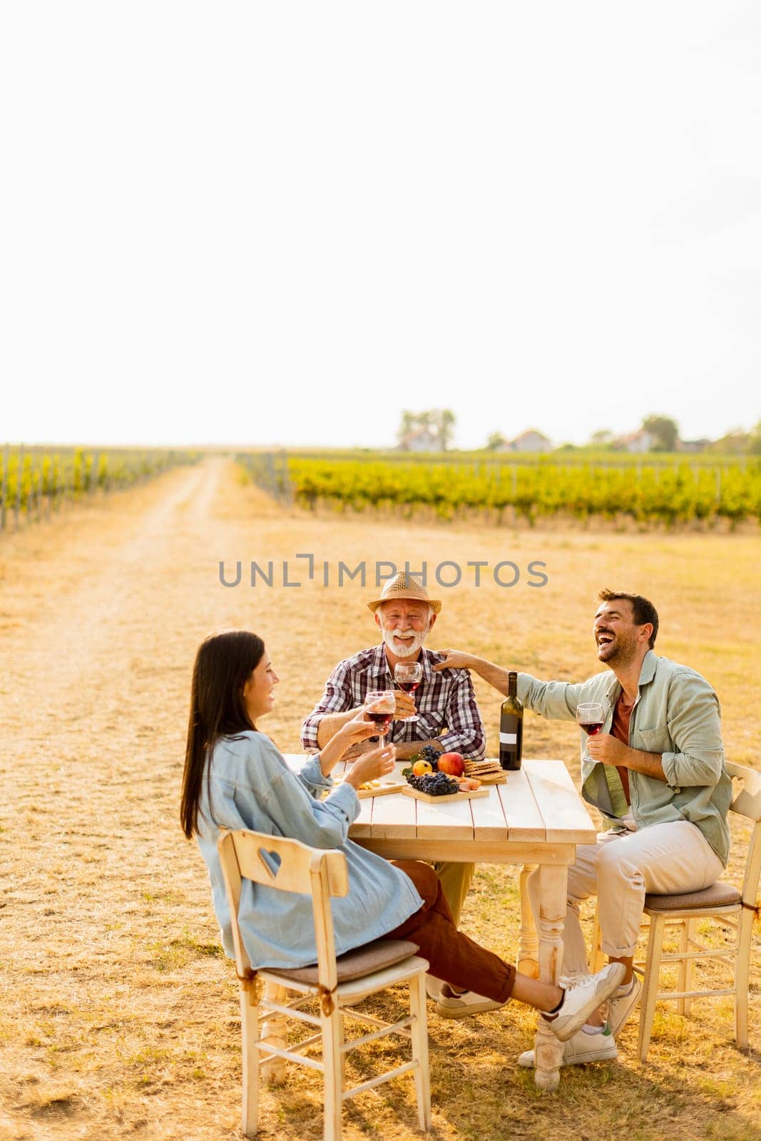 Amidst rows of lush vines, three friends enjoy a delightful afternoon, savoring wine and conversation, surrounded by the beauty of nature’s harvest