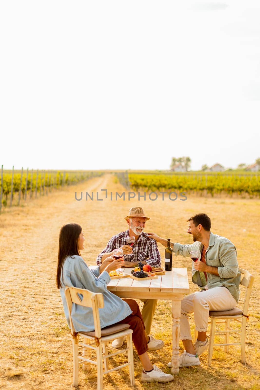 Amidst rows of lush vines, three friends enjoy a delightful afternoon, savoring wine and conversation, surrounded by the beauty of nature’s harvest