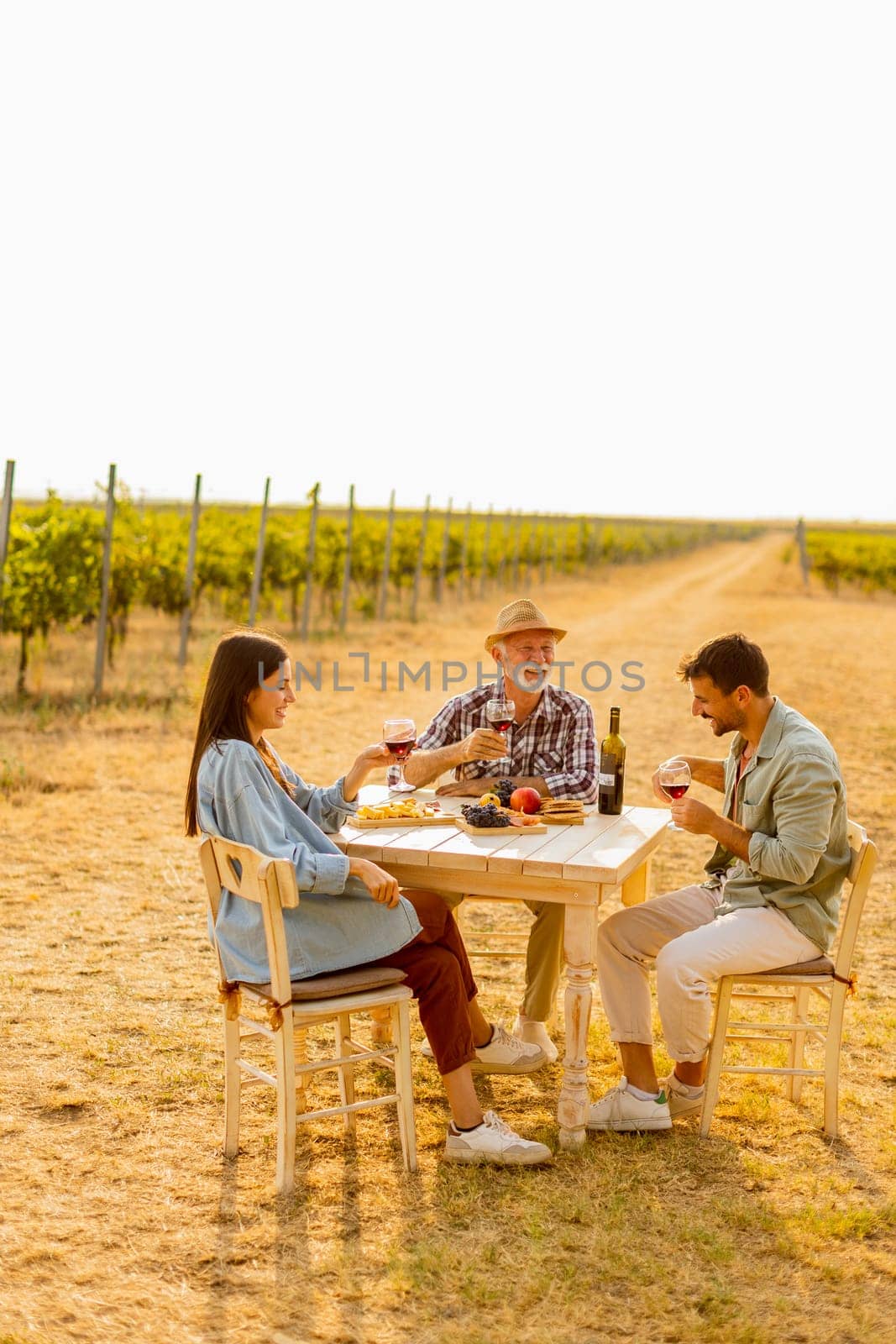 Amidst rows of lush vines, three friends enjoy a delightful afternoon, savoring wine and conversation, surrounded by the beauty of nature’s harvest