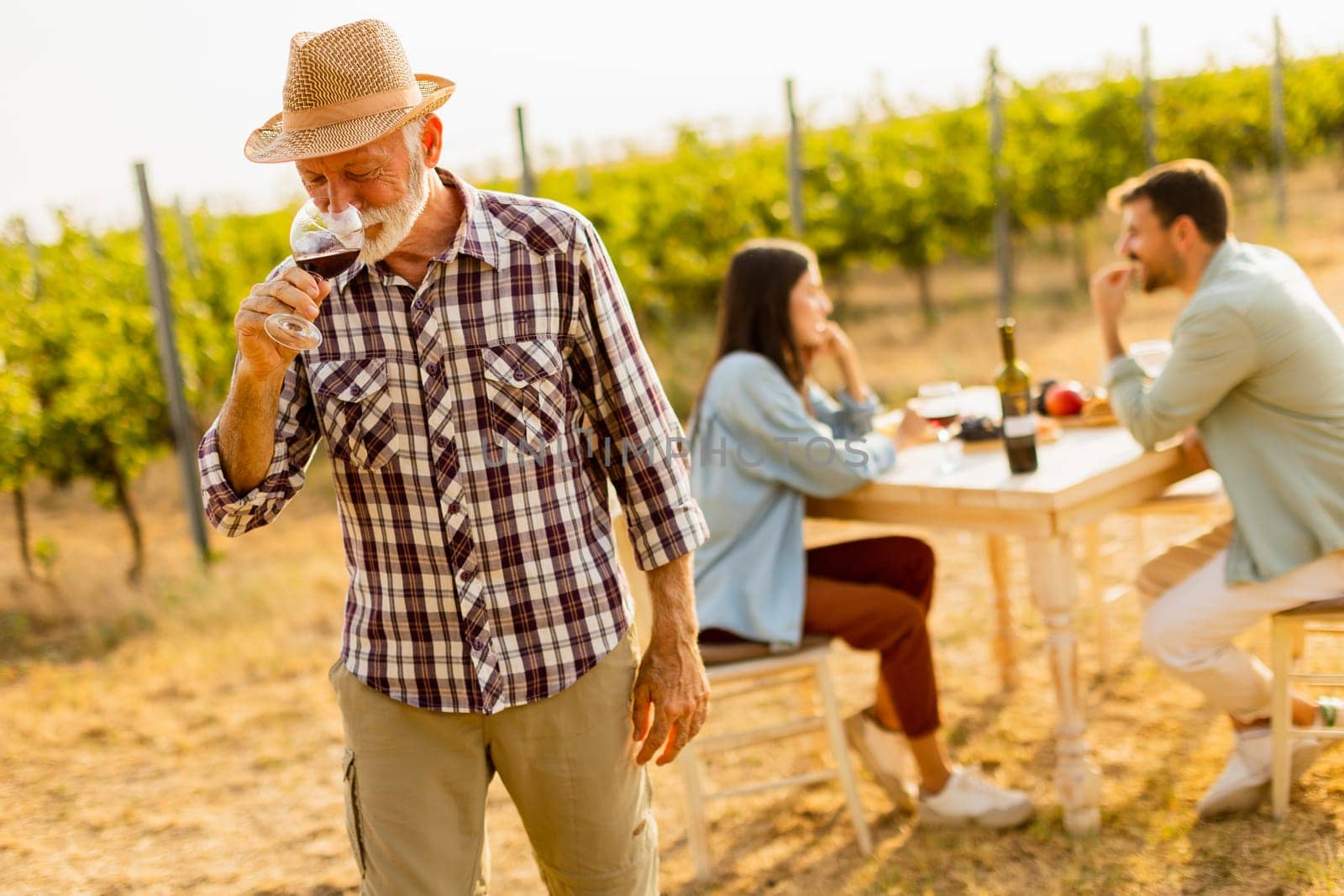Amidst rows of lush vines, three friends enjoy a delightful afternoon, savoring wine and conversation, surrounded by the beauty of nature’s harvest