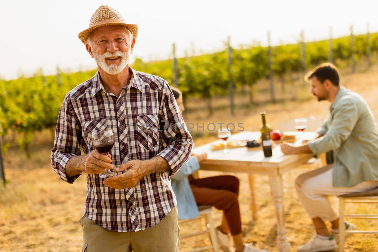 Under the warm glow of sunset, a smiling gentleman raises a glass of red wine, surrounded by friends savoring delightful moments amidst lush vineyards and shared stories