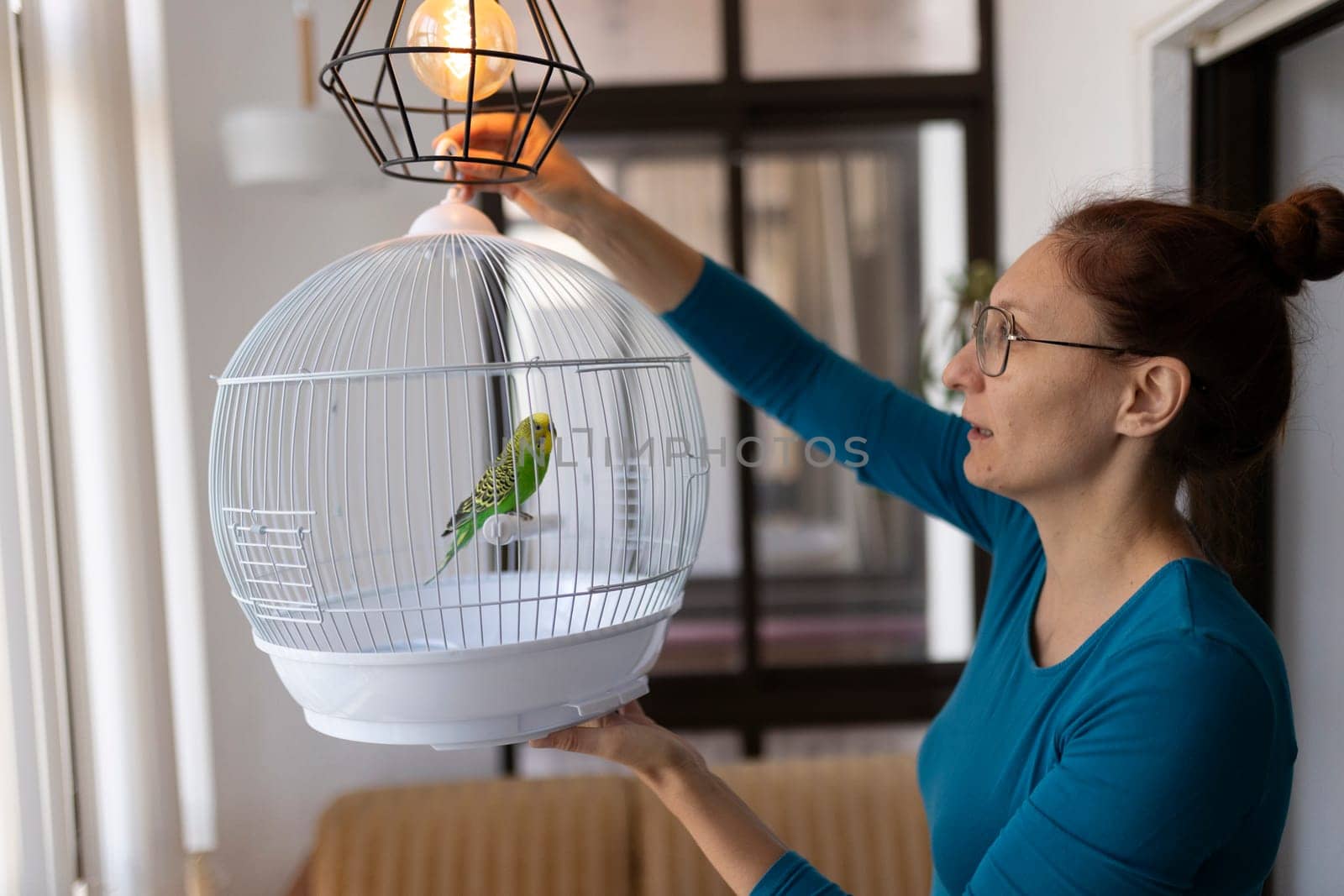 Woman hangs a birdcage containing a budgie parakeet near a modern lamp in a home setting
