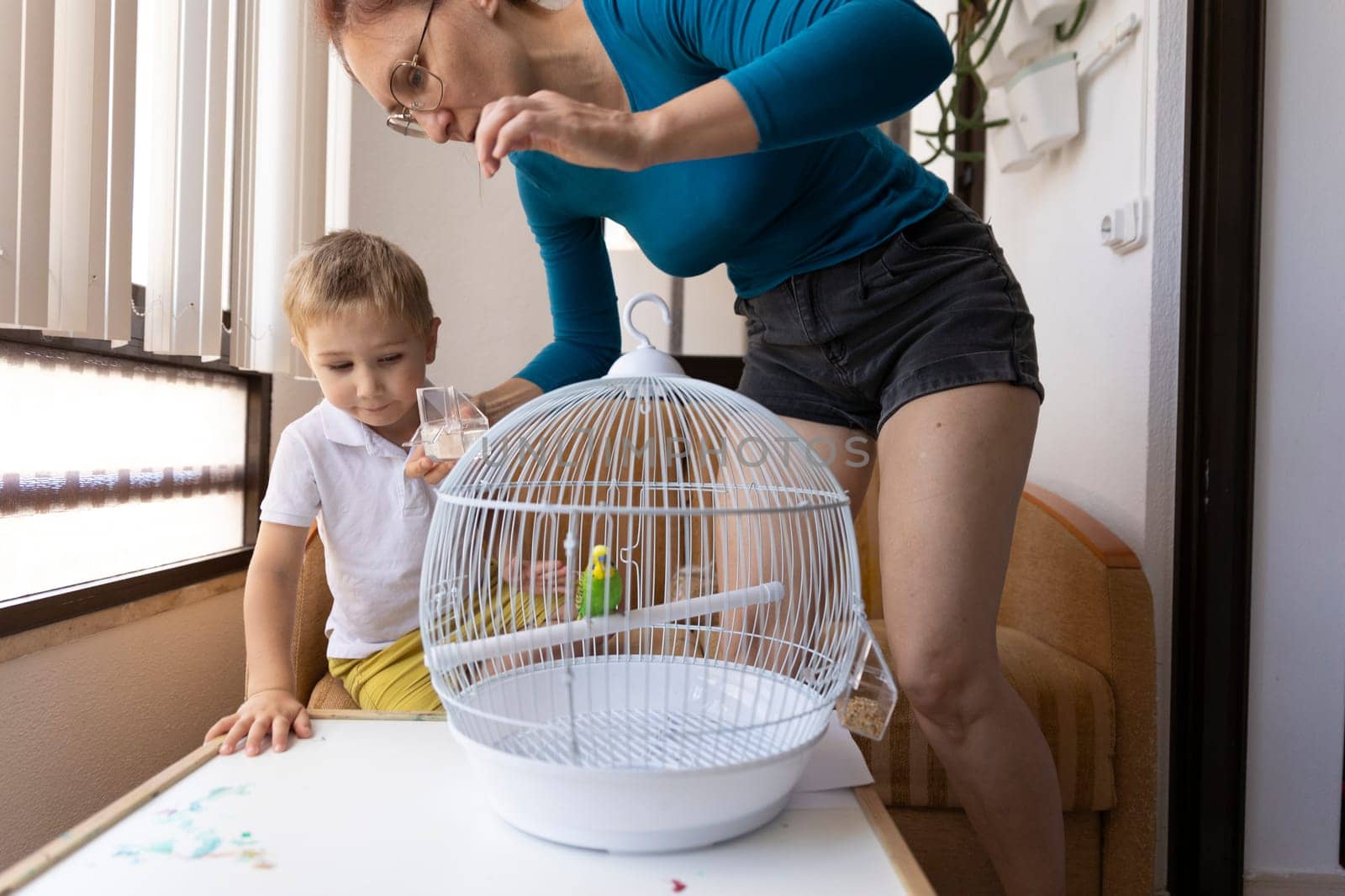 Mother and son taking care of their pet parrot, feeding it and changing its water
