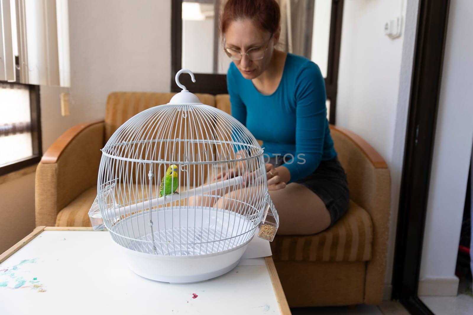 Woman changing bird food in a white cage with a green budgie parrot perched on a wooden stick, inside a house