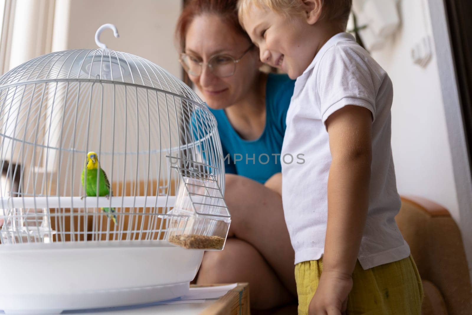 Happy family admiring their pet parakeet in a cage at home