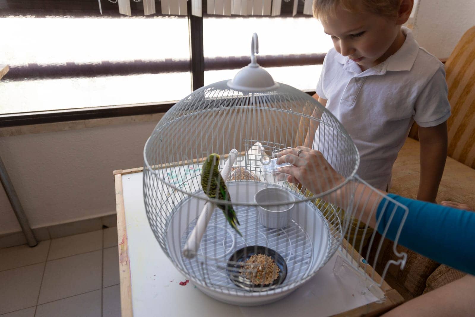 Blond boy watching his mother changing bird food in a white round cage with a parakeet