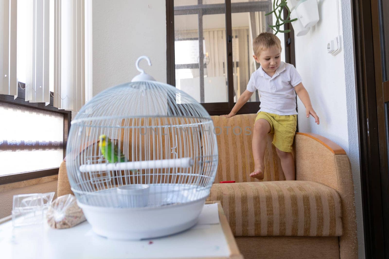 Toddler playing near a birdcage with a parakeet inside in a living room