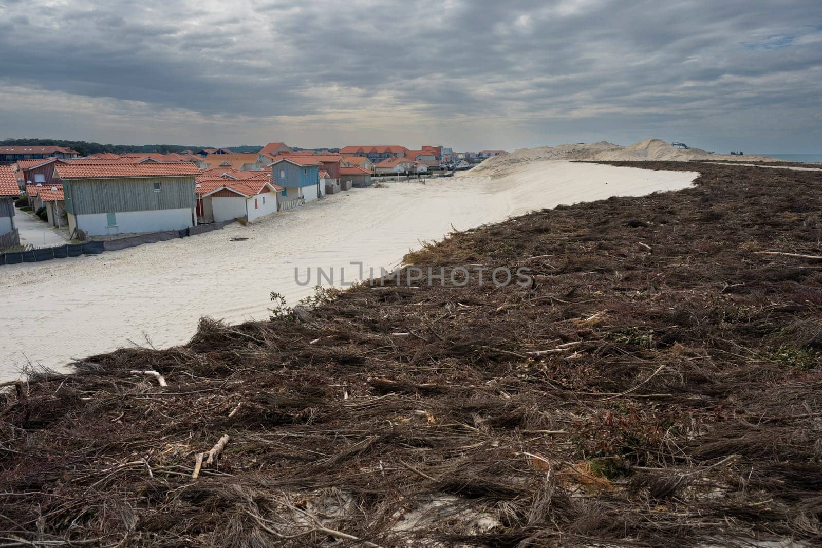On the sandy coastline of Biscarosse, dense patches of coastal vegetation cover the dunes, indicating ecological shifts and potential dangers to this fragile environment.