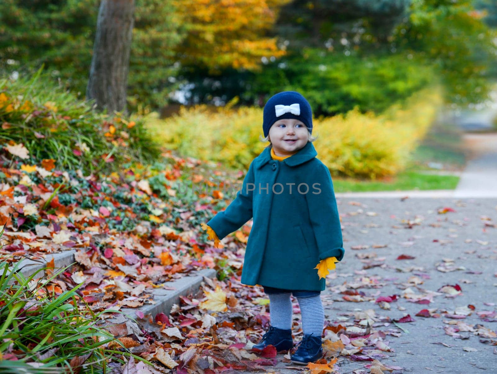 Little girl in the park in autumn