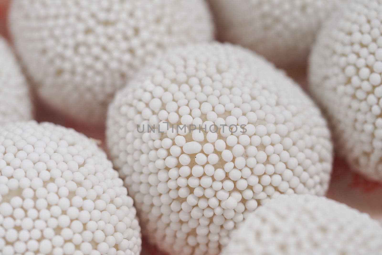 Close-up of small spherical objects showcasing intricate designs and texture.