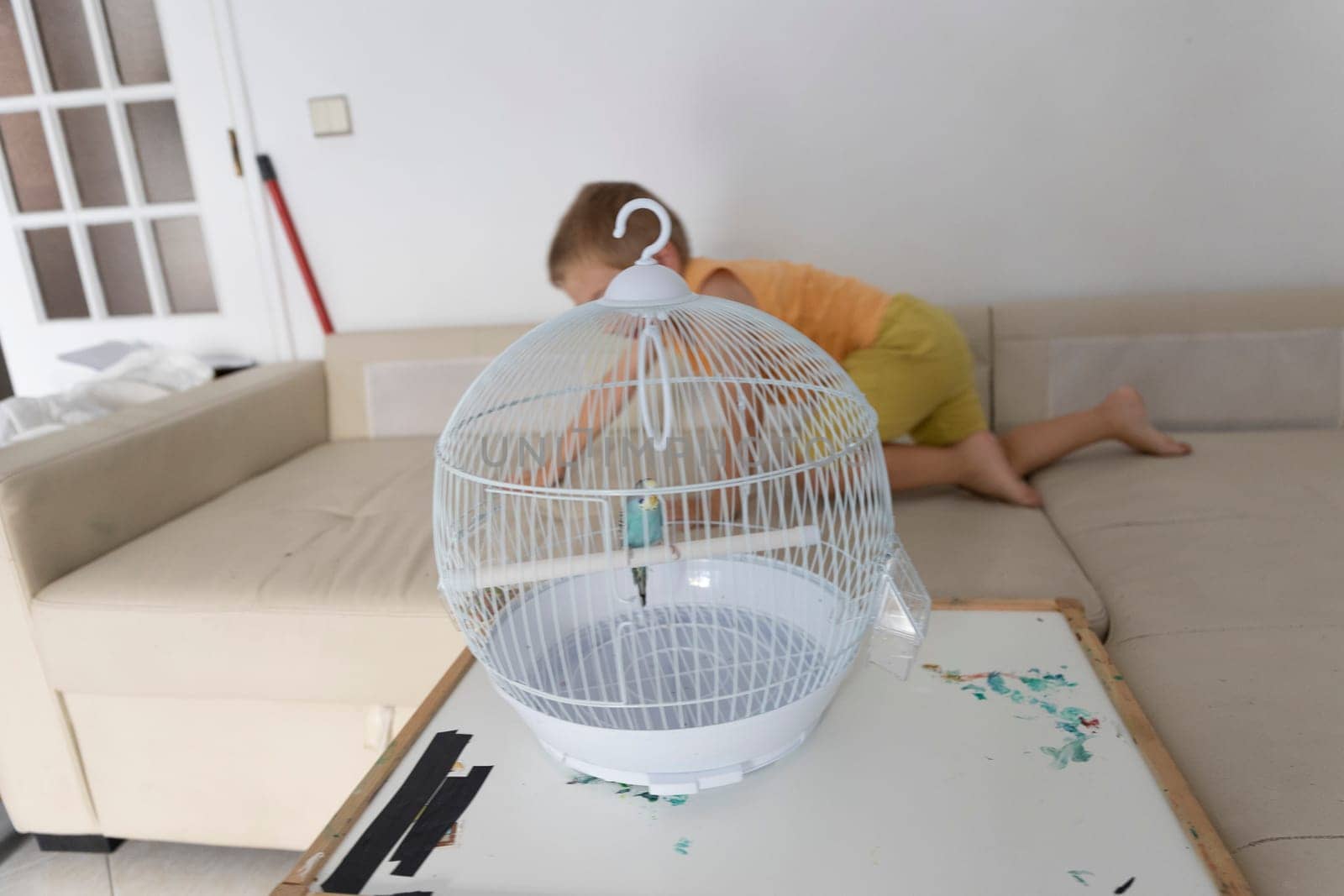 Budgie bird perched in white cage with child reaching for it in living room