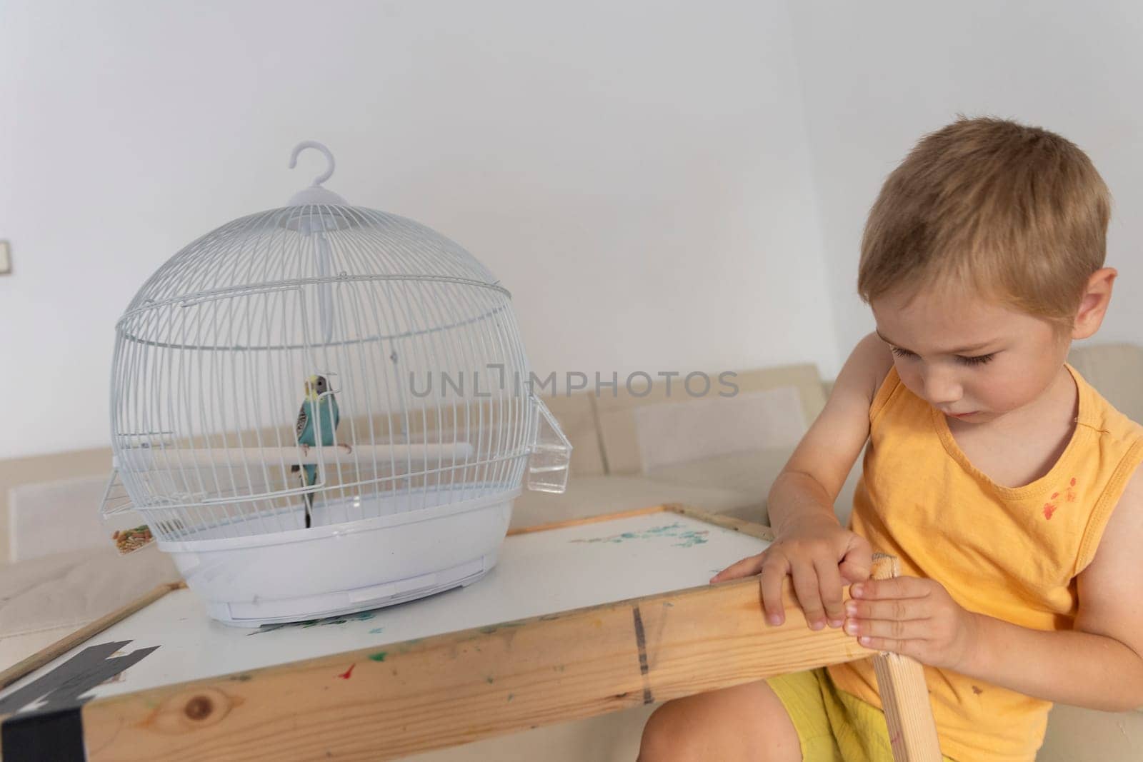Child observing a colorful parakeet inside its cage, placed on a small wooden table, in a bright domestic setting
