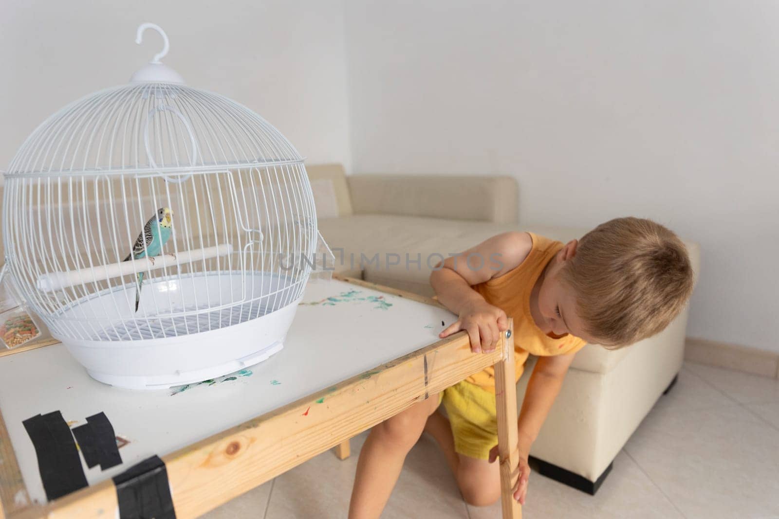 Little kid looking at a parakeet inside its cage placed on a small table