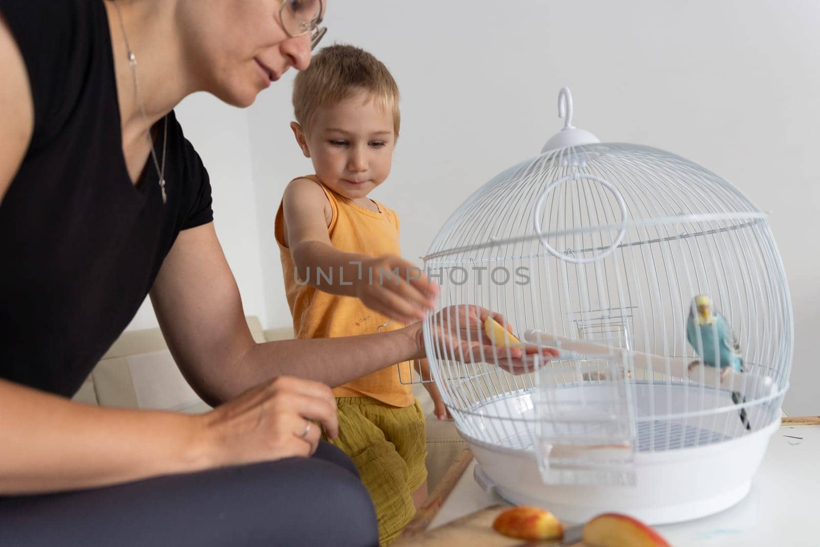Mother and son feeding a slice of apple to a small parrot inside its cage, promoting family bonding and animal care