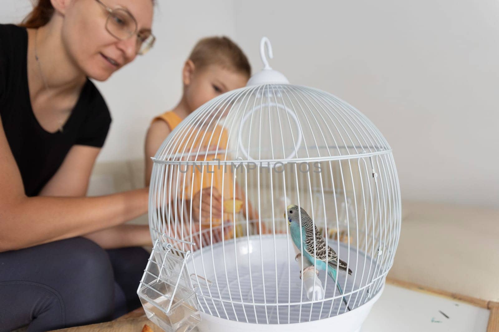 Mother and son taking care of their blue pet parakeet inside its cage at home