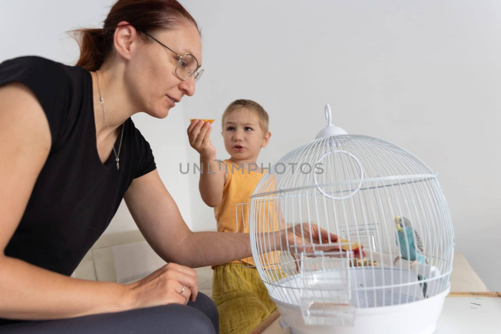 Mother and son sharing a moment feeding their pet parrot in its cage, promoting family bonding and responsible pet ownership