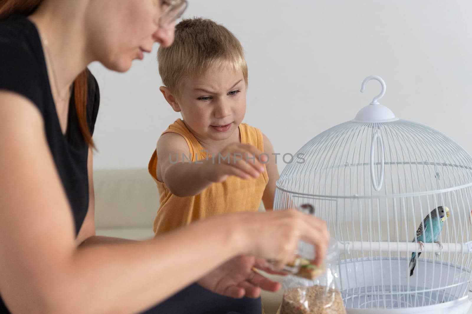Mother pouring birdseed into her son's hand while feeding their pet budgie in its cage
