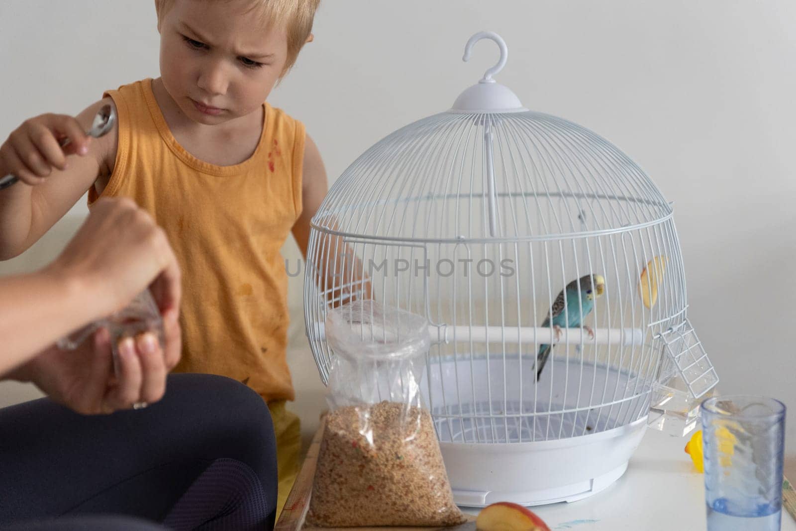 Mother and son feeding their pet bird in a white cage, using a spoon and a bag of birdseed