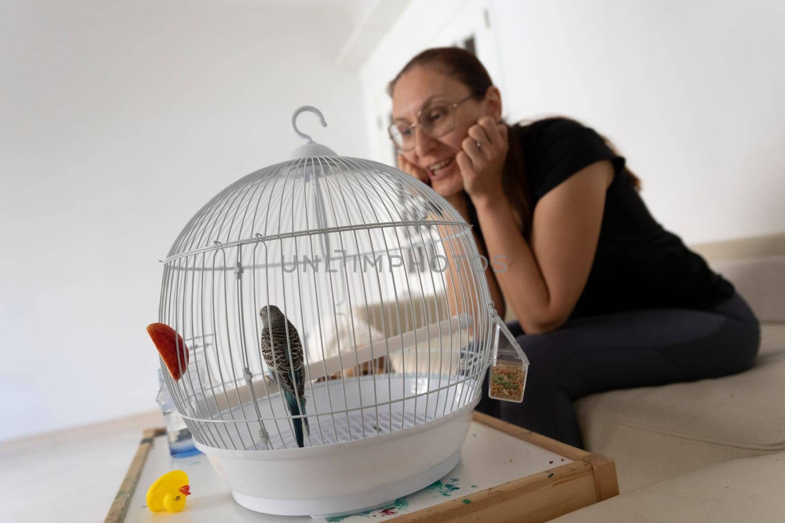 Smiling woman admiring her blue budgerigar resting in its white round cage