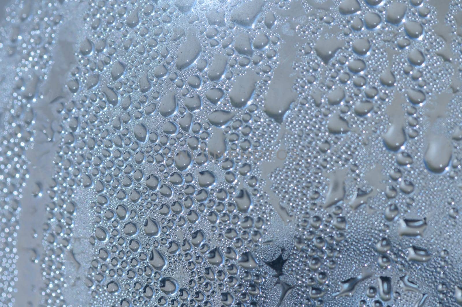 Tiny water droplets create a shimmering tapestry on a cool surface, reflecting light and nature's beauty.