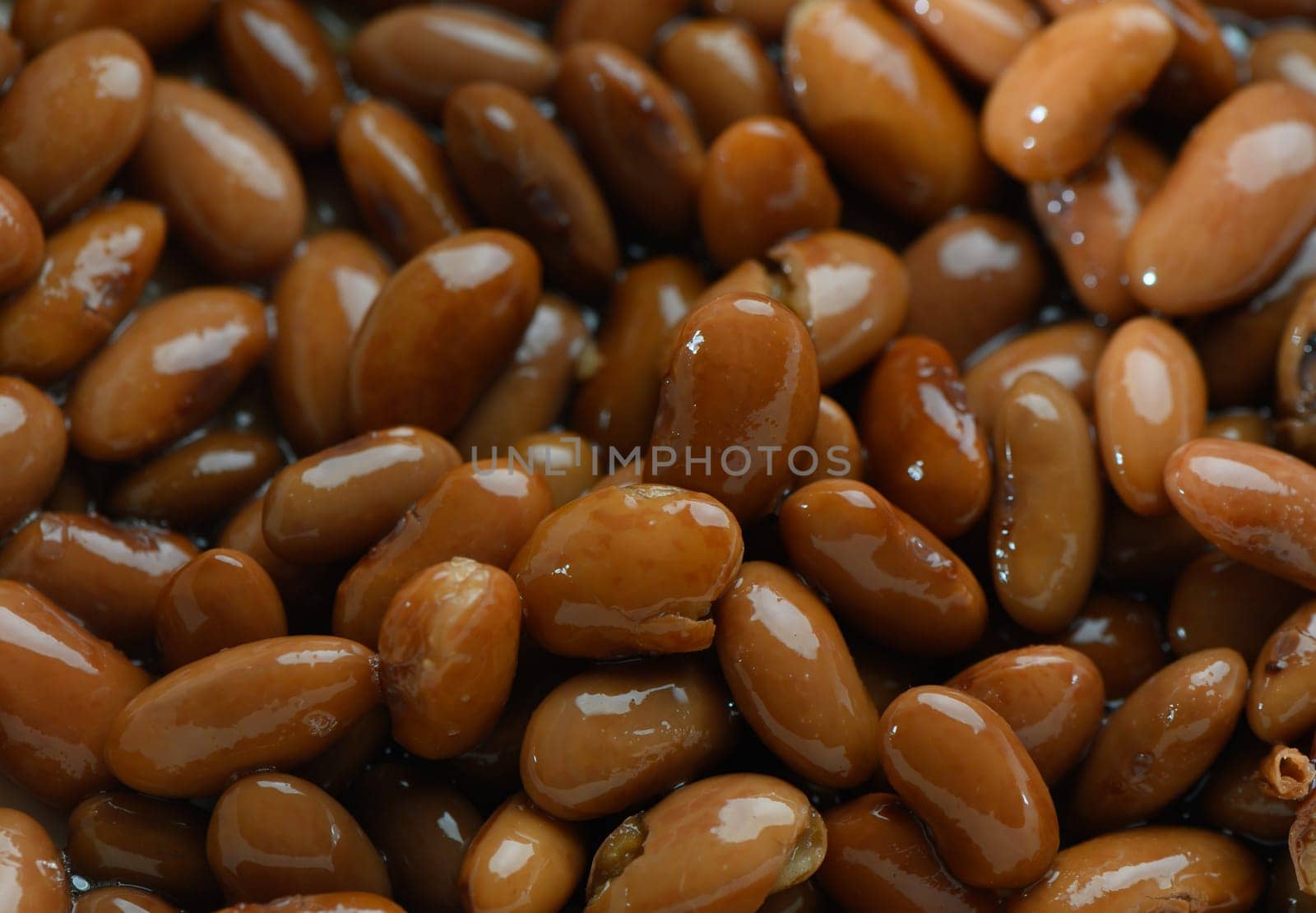 Close-up view of glossy brown beans resting together, showcasing their rich colors and textures under natural light.