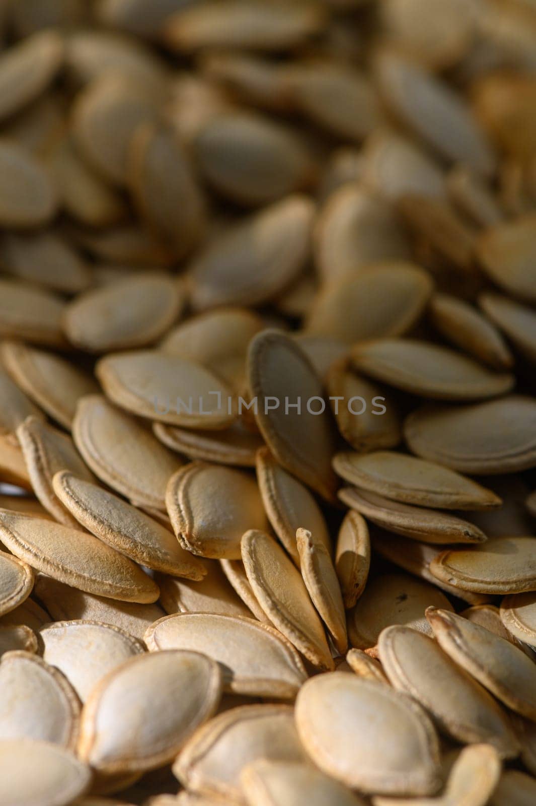 Sunlight illuminates an abundance of freshly harvested pumpkin seeds, capturing the essence of autumn.