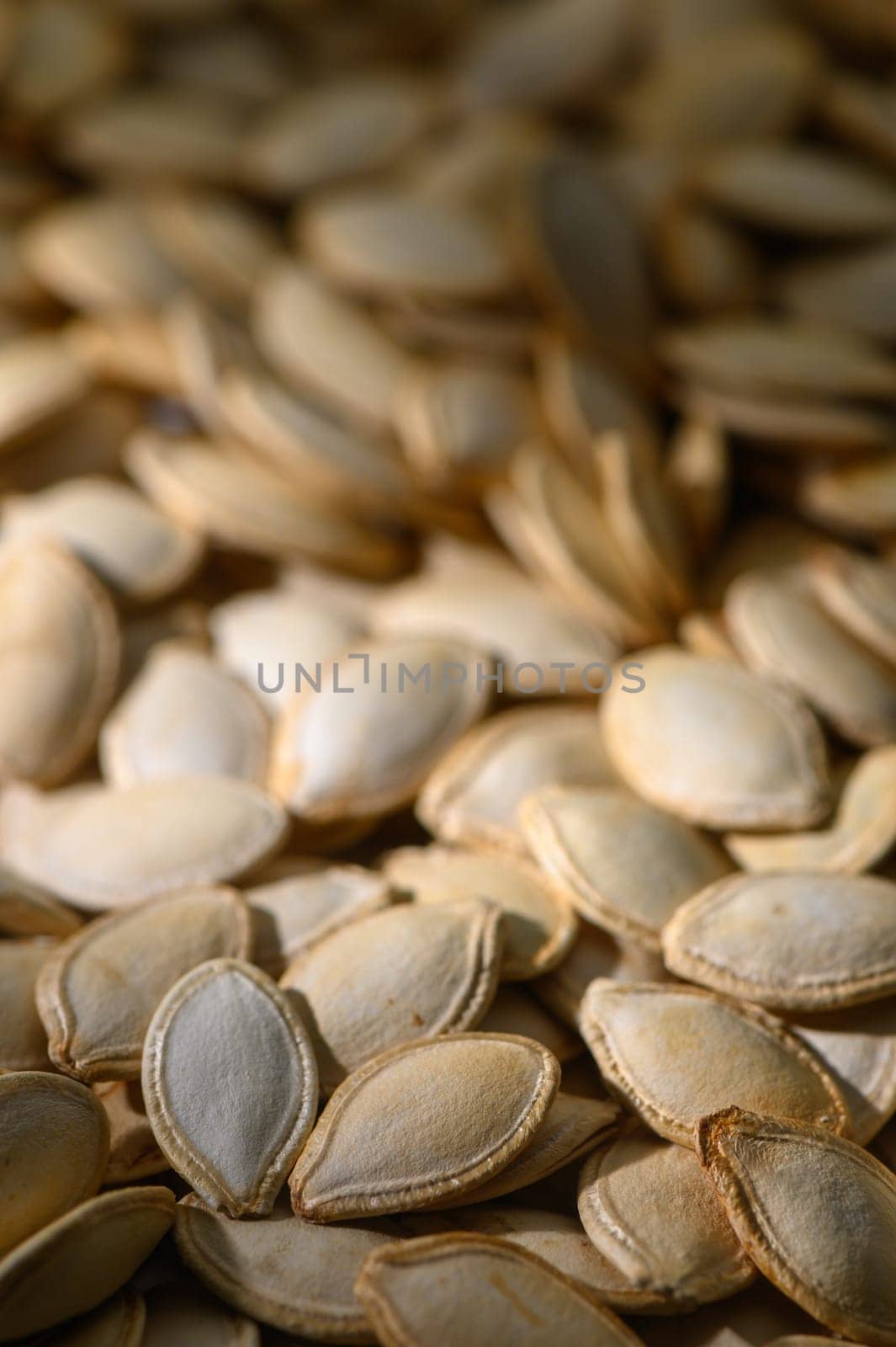Golden sunlight spills over a pile of freshly harvested pumpkin seeds, showcasing their unique shapes and textures.