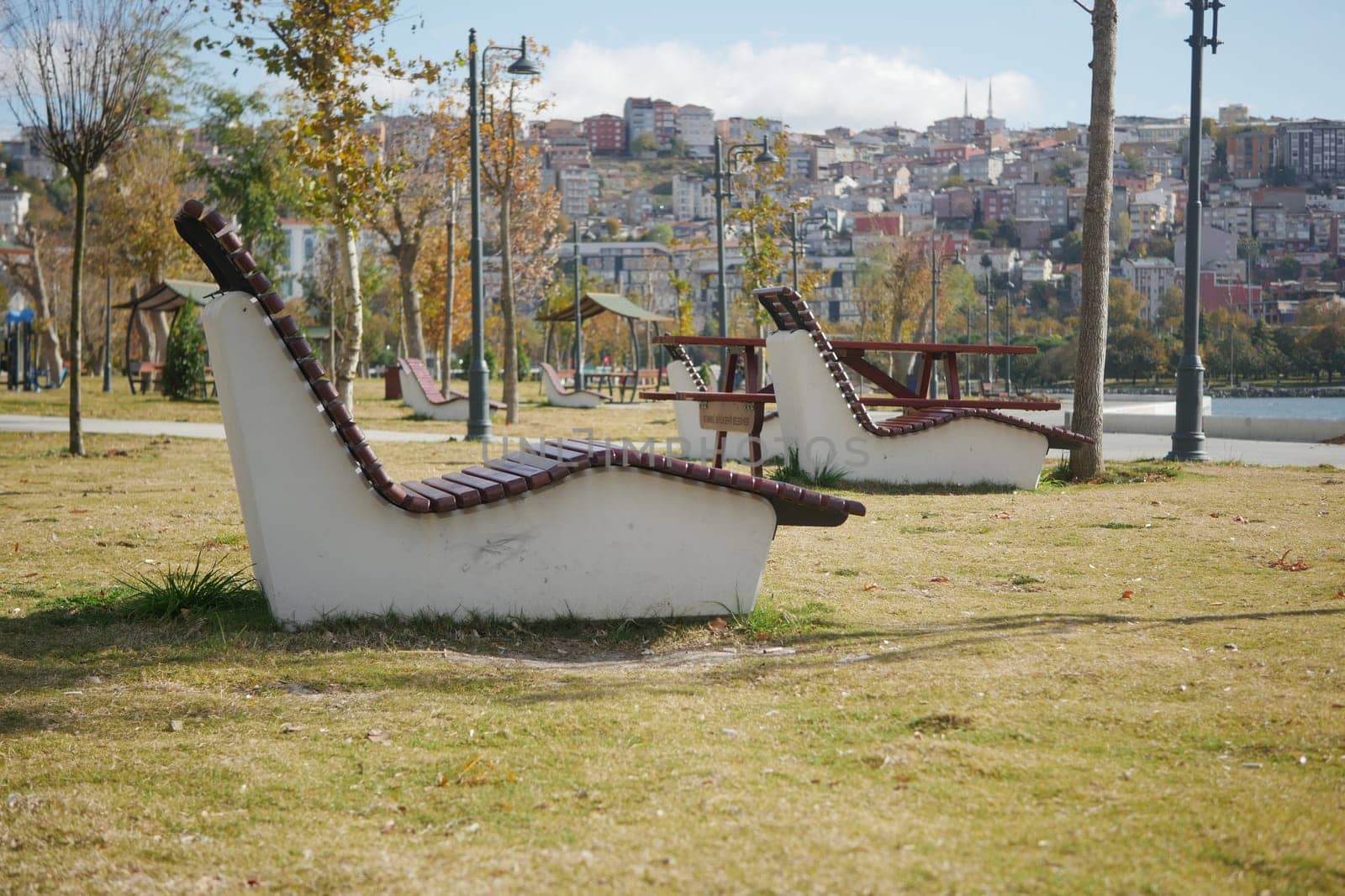 Two distinct chairs facing each other in a green park area.