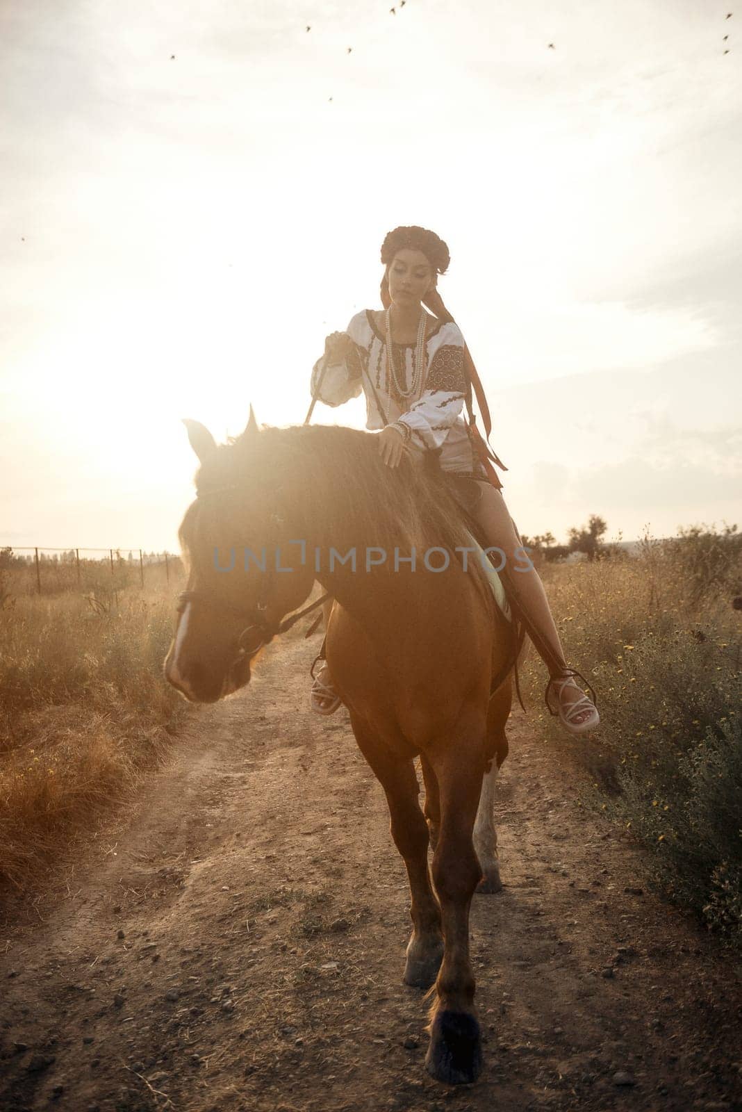 beautiful equestrian in national Ukrainian costume posing on horse. Charming girl up on brown horse in the field in the rays of the setting sun. concept of women riding horses