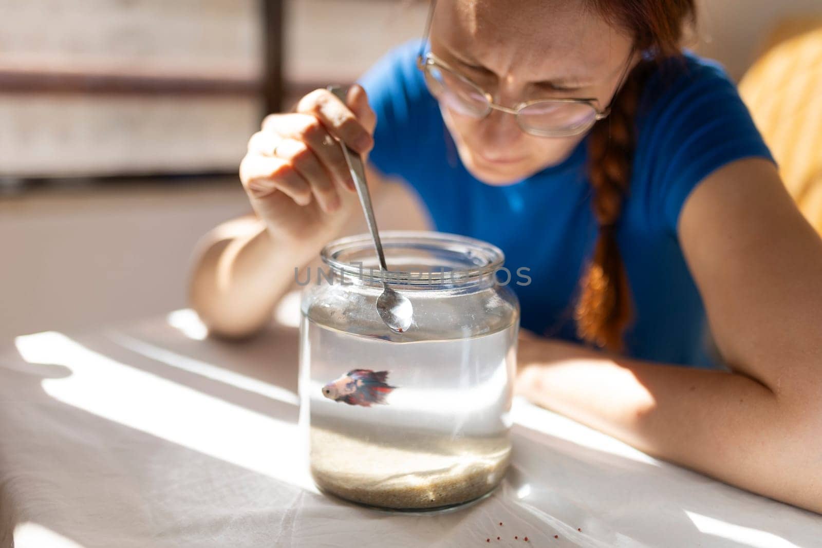 Veterinarian feeding a beautiful betta fish in a glass jar with a spoon