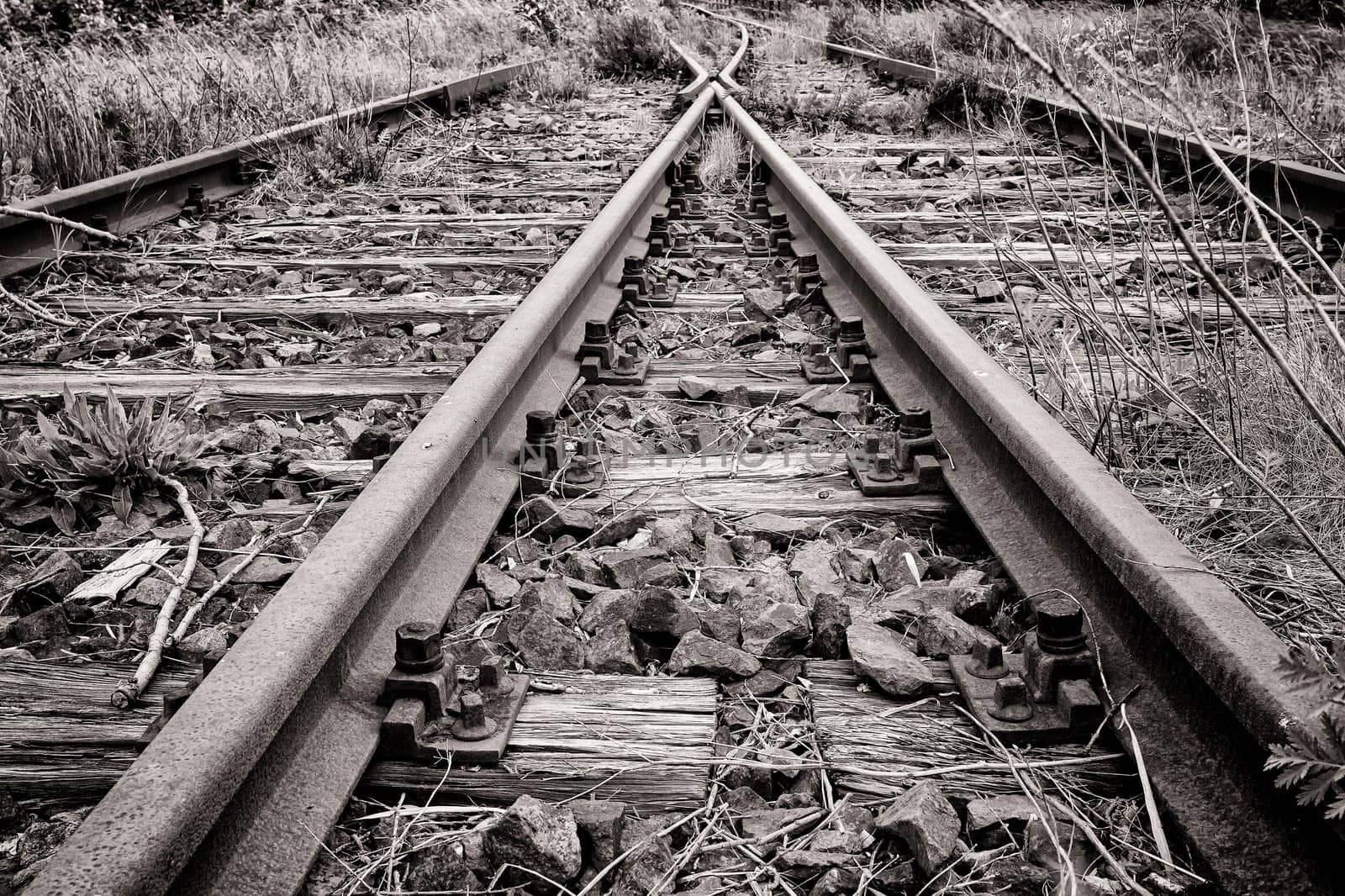 Former railway line of the Darßbahn in Bresewitz, just before the Meiningen Bridge to the Fischland-Darß peninsula, Mecklenburg-Western Pomerania, Germany