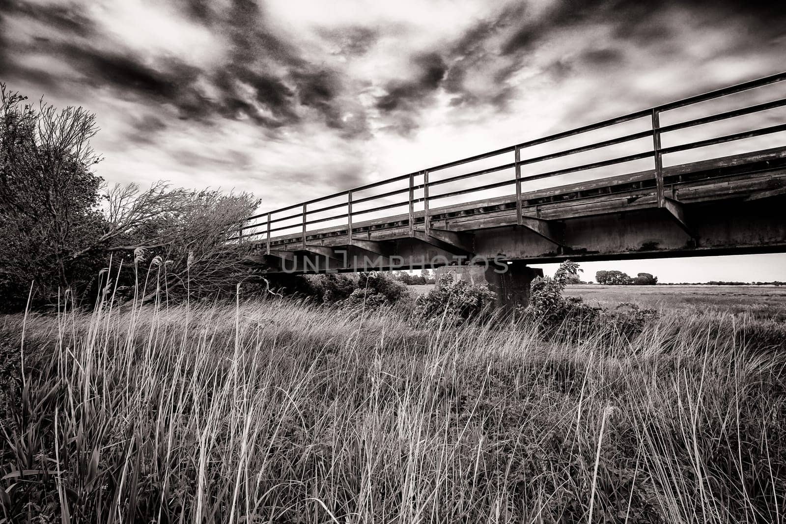 Former railway line of the Darßbahn in Bresewitz, just before the Meiningen Bridge to the Fischland-Darß peninsula, Mecklenburg-Western Pomerania, Germany