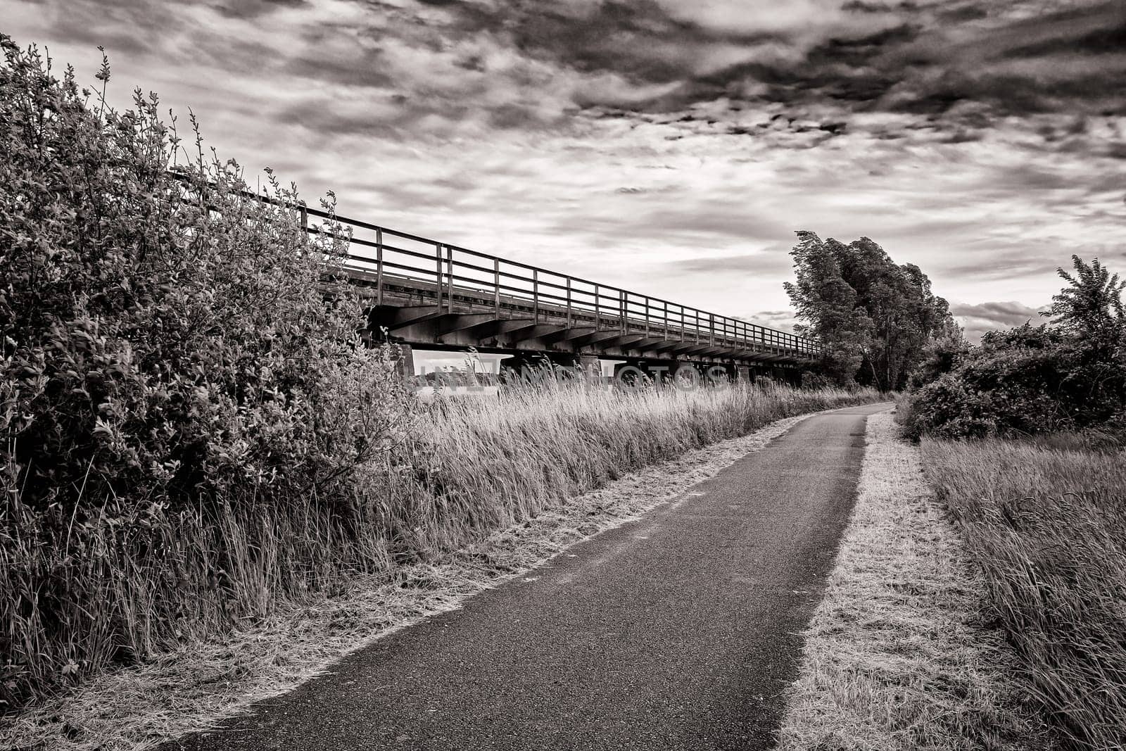 Former railway line of the Darßbahn in Bresewitz, just before the Meiningen Bridge to the Fischland-Darß peninsula, Mecklenburg-Western Pomerania, Germany