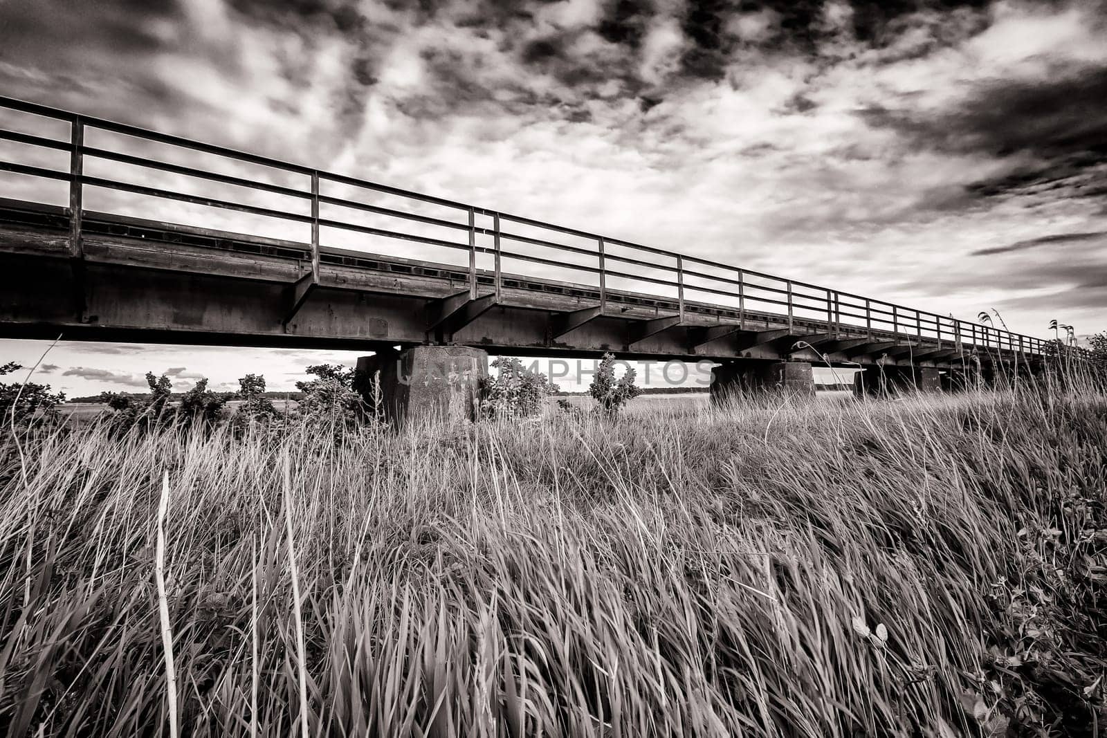 Former railway line of the Darßbahn in Bresewitz, just before the Meiningen Bridge to the Fischland-Darß peninsula, Mecklenburg-Western Pomerania, Germany