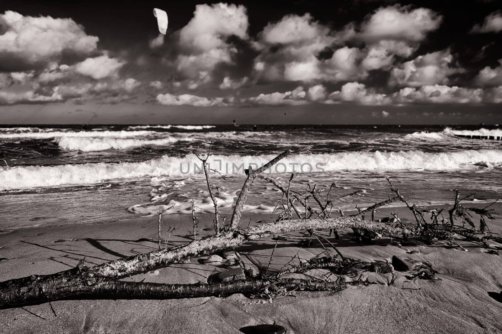 Baltic Sea coast near Kühlungsborn, Mecklenburg-Western Pomerania