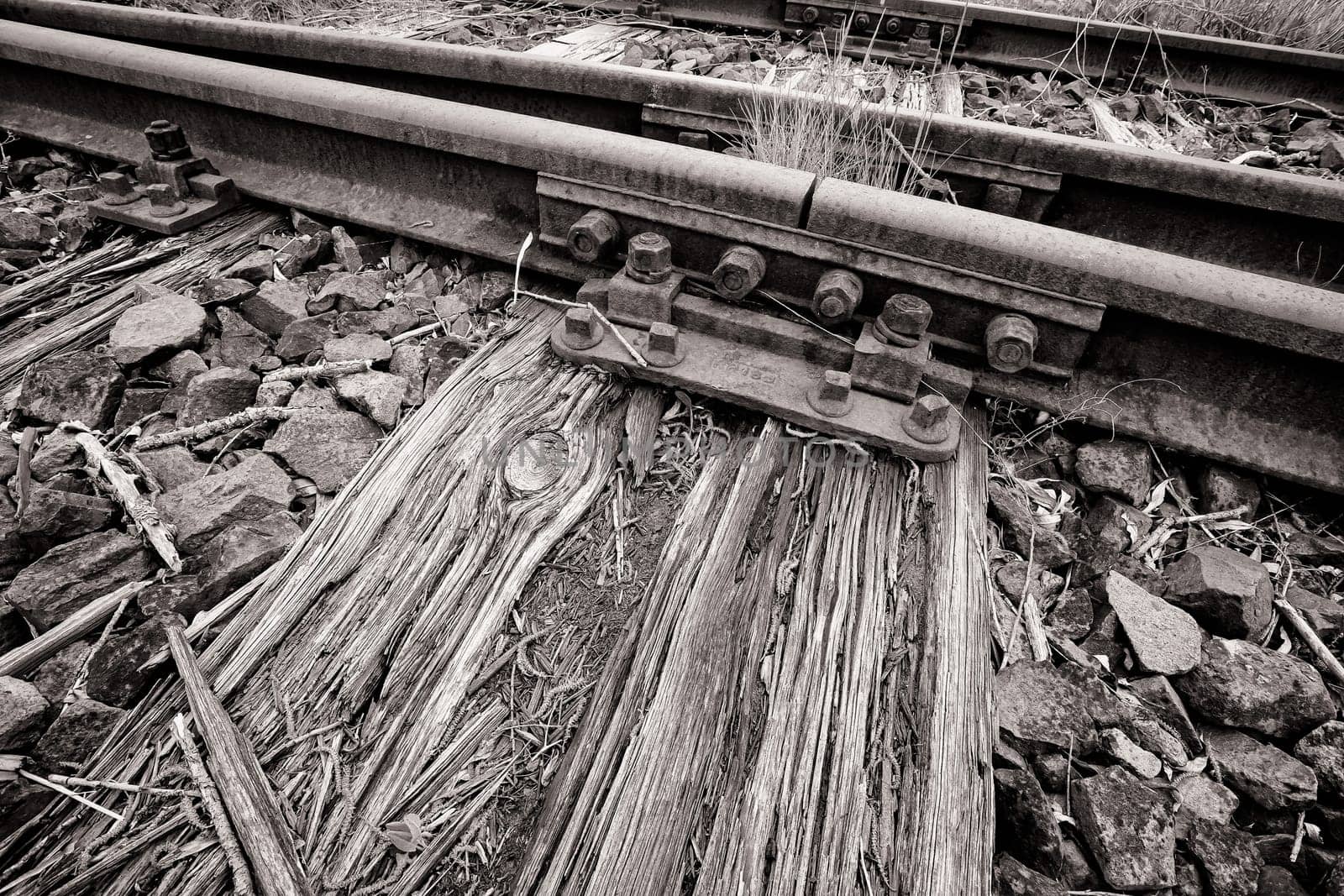 Former railway line of the Darßbahn in Bresewitz, just before the Meiningen Bridge to the Fischland-Darß peninsula, Mecklenburg-Western Pomerania, Germany
