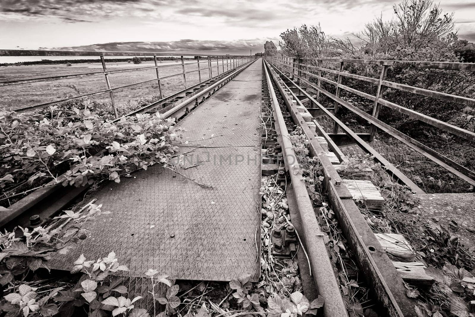 Former railway line of the Darßbahn in Bresewitz, just before the Meiningen Bridge to the Fischland-Darß peninsula, Mecklenburg-Western Pomerania, Germany