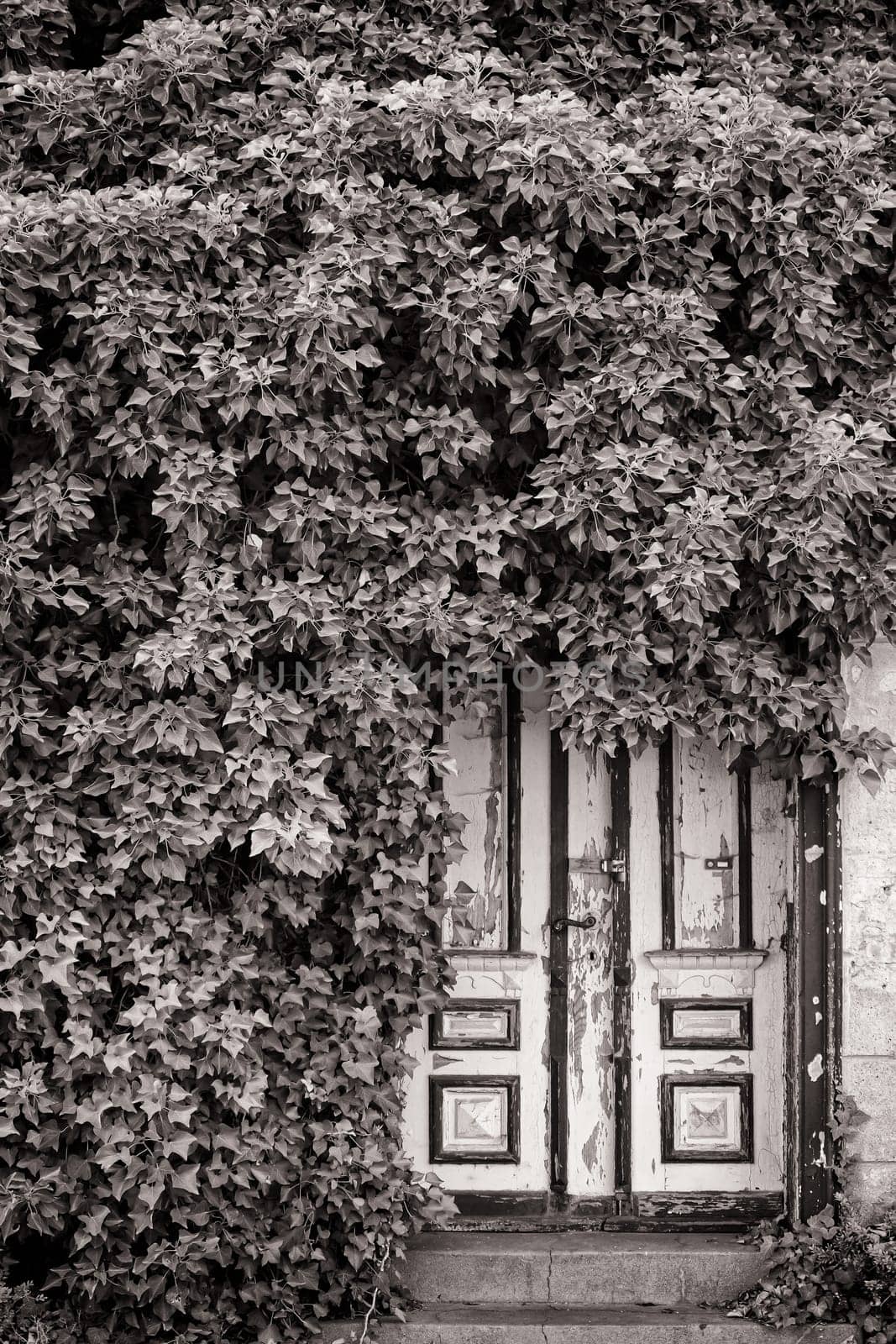 old back entrance in Zingst, Fischland-Darß, Mecklenburg-Western Pomerania, Germany