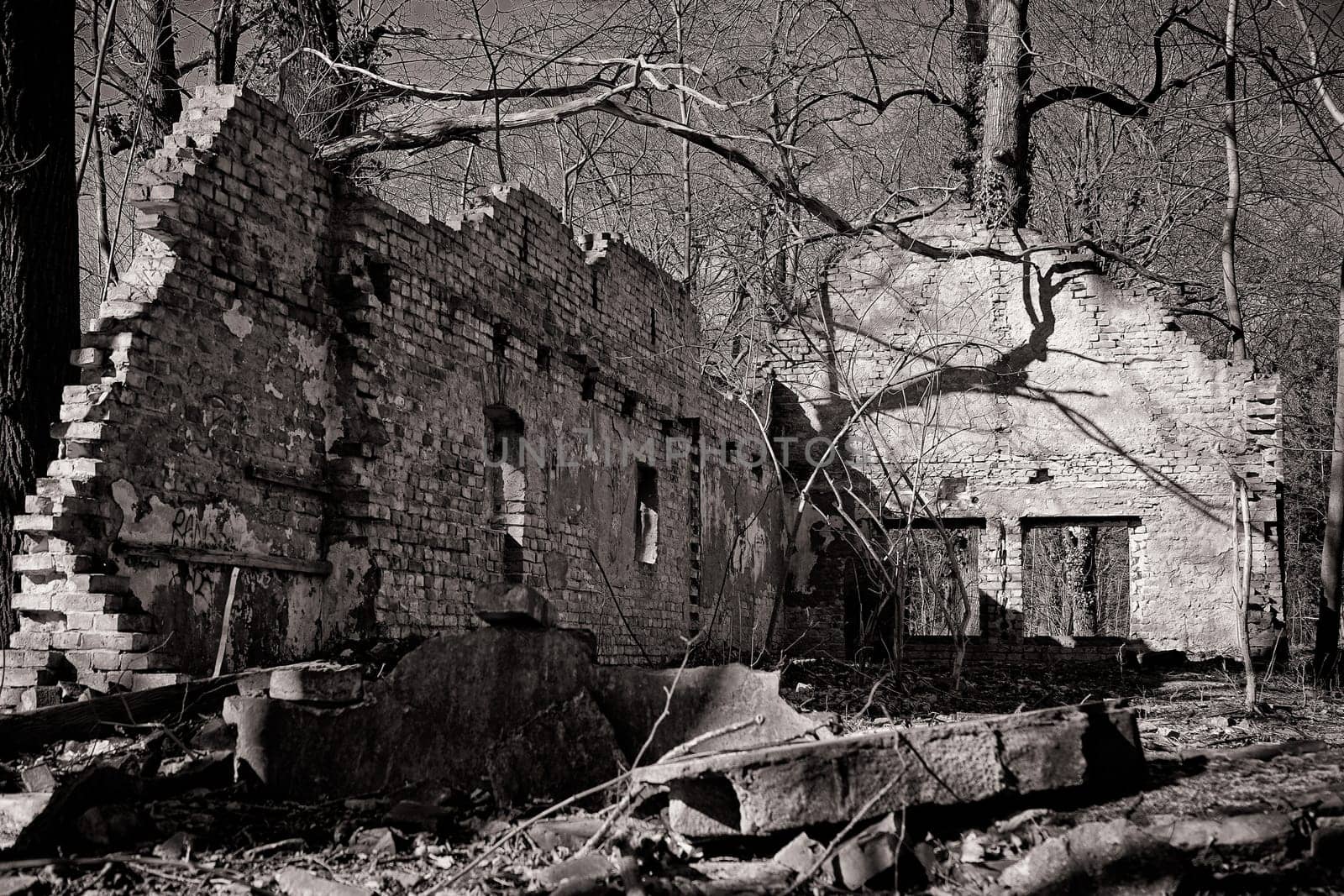 old dilapidated ruin of a villa