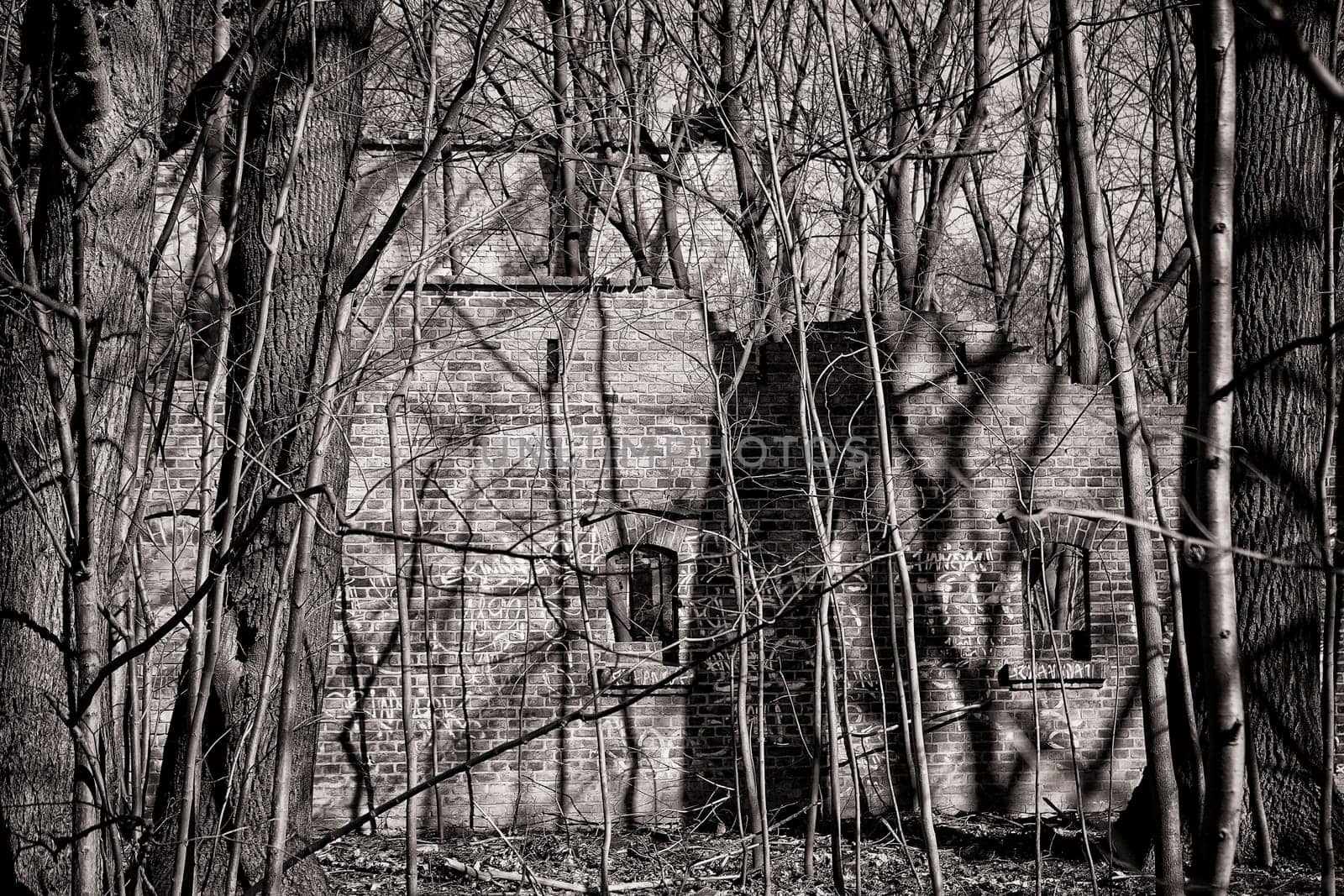 old dilapidated ruin of a villa