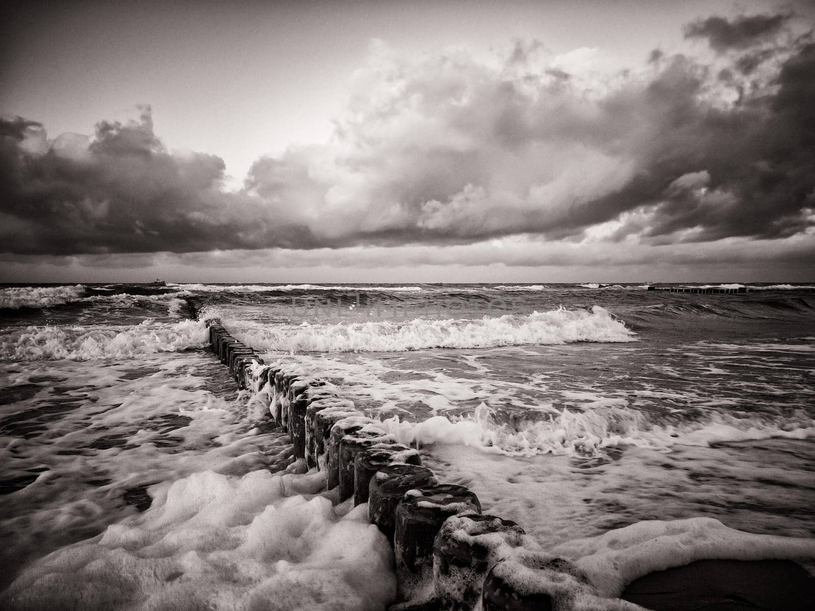 Baltic Sea coast near Kühlungsborn, Mecklenburg-Western Pomerania